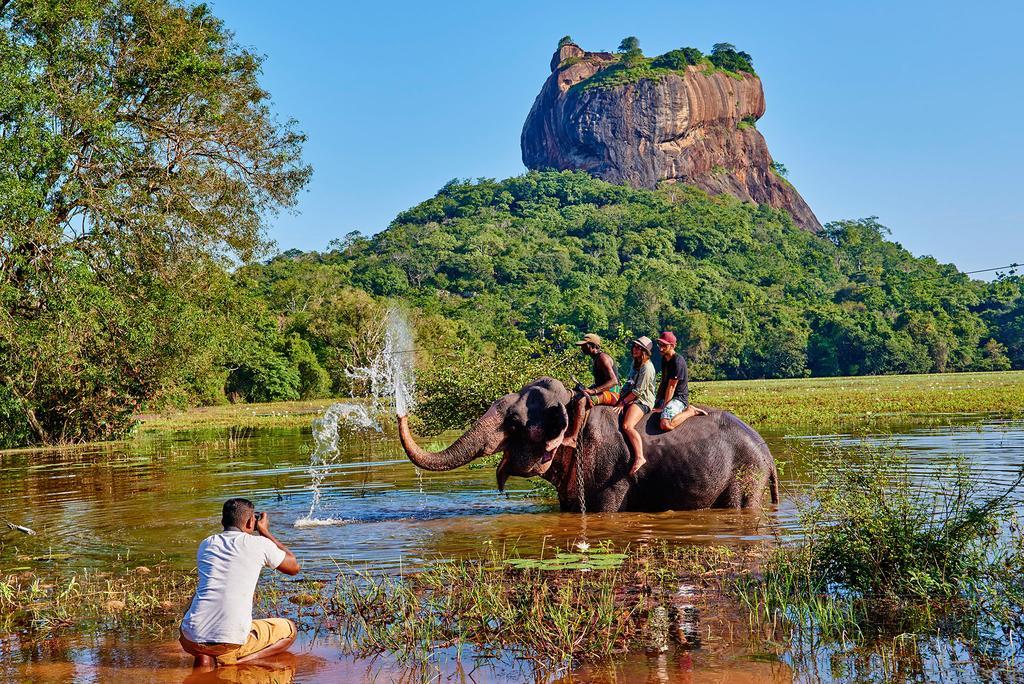 The Courtyard Villa Sigiriya Exteriér fotografie