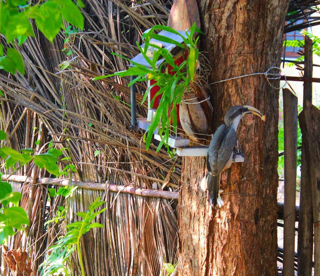 The Courtyard Villa Sigiriya Exteriér fotografie
